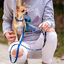 Disney Stitch Premium trela para cães, , large Indicador imagem número 4