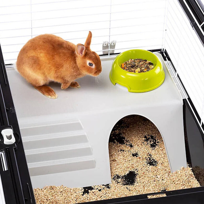 Ferplast Casita 100 Jaula para roedores,  Imagem número 2 Ferplast Casita 100 Jaula para roedores, , large Imagem número 2