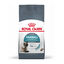 10 kg Royal Canin Intense Hairball ração para gatos, , large Indicador imagem número 1