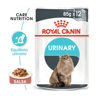Royal Canin Urinary saqueta em molho para gatos