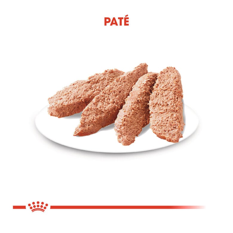 85 g Royal Canin Light Weight Care Saquetas Patê para cães,  Imagem número 3 85 g Royal Canin Light Weight Care Saquetas Patê para cães, , large Imagem número 3