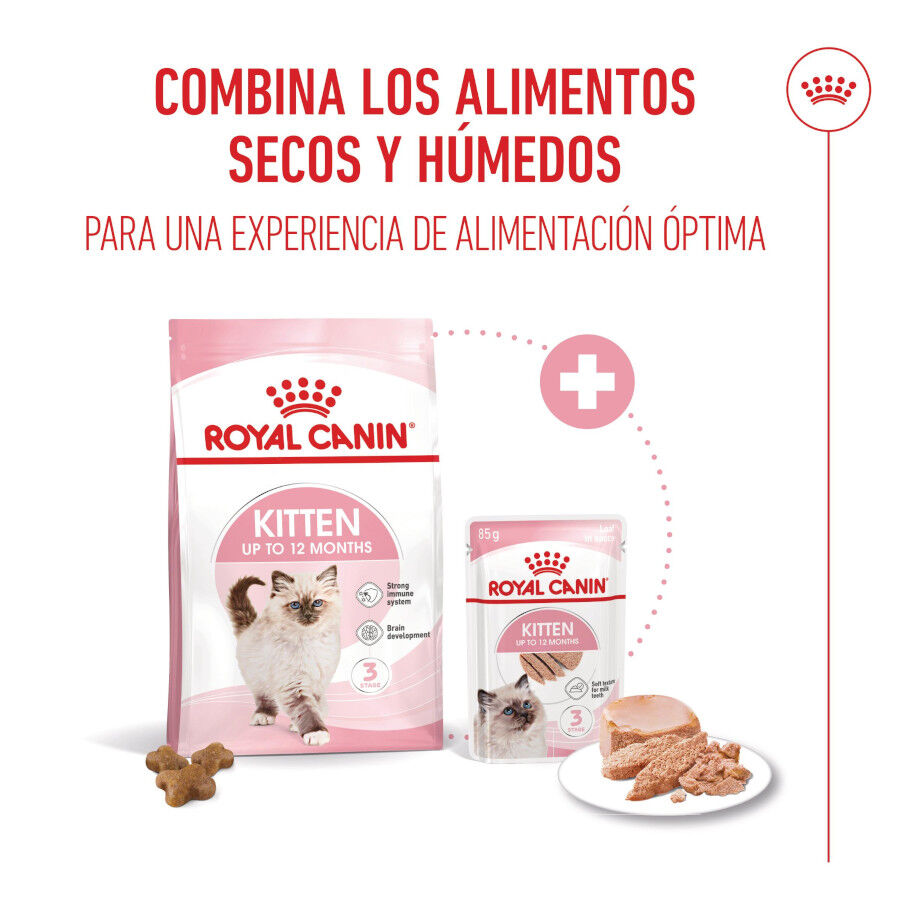 85 g Royal Canin Kitten pat&ecirc; em saquetas para gatos, , large Imagem n&uacute;mero 5