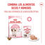 85 g Royal Canin Kitten patê em saquetas para gatos, , large Indicador imagem número 5