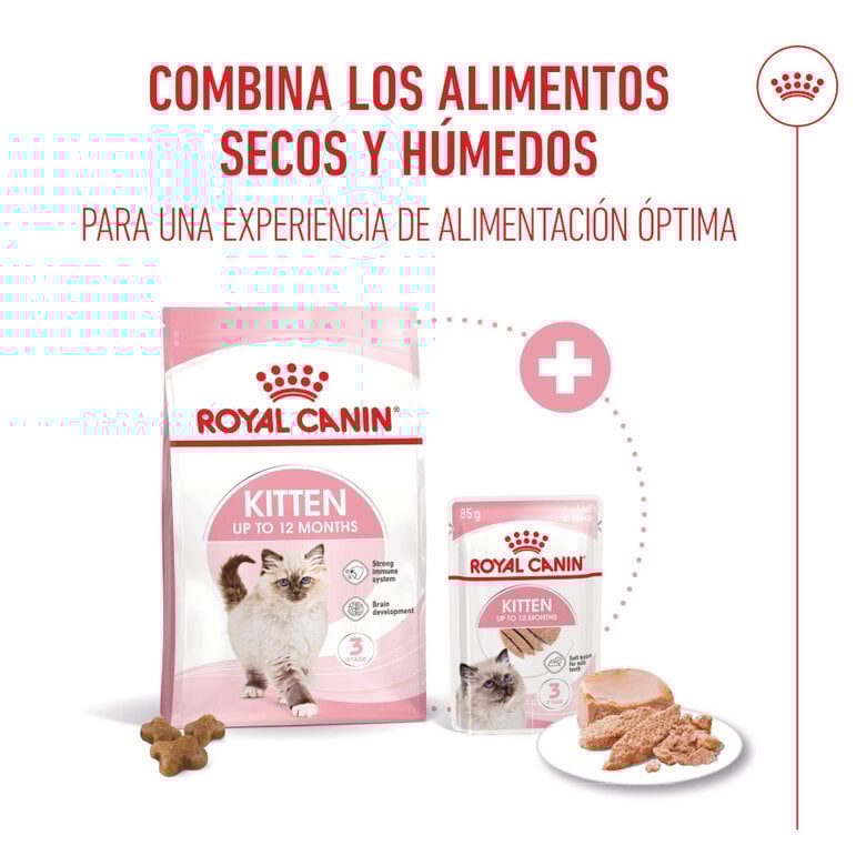 85 g Royal Canin Kitten patê em saquetas para gatos,  Imagem número 5 85 g Royal Canin Kitten patê em saquetas para gatos, , large Imagem número 5