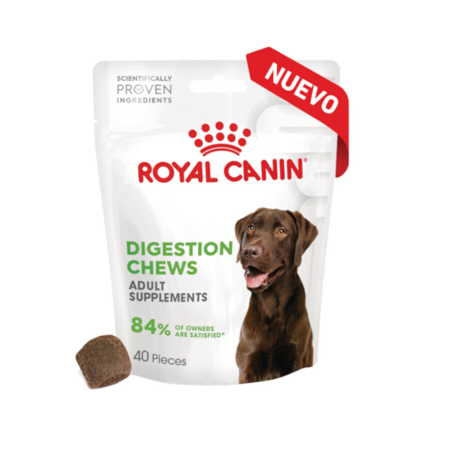 160 g Royal Canin Digestion Chews Suplemento Nutricional para c&atilde;es com sensibilidade, , large Imagem n&uacute;mero 2