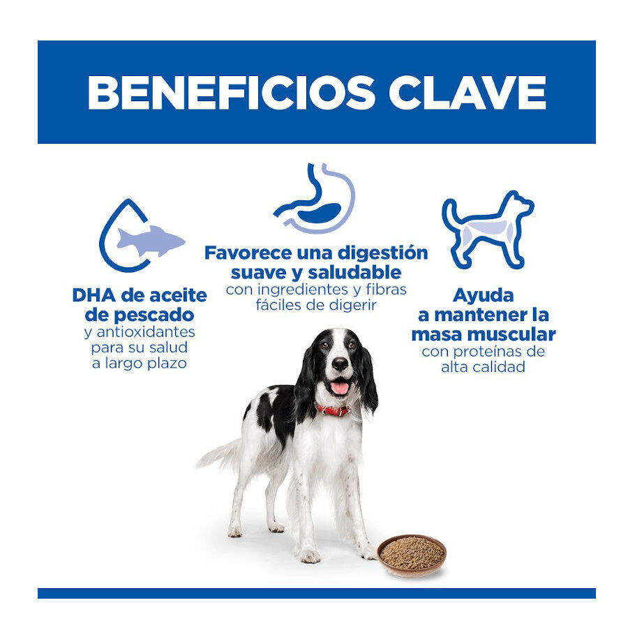48 latas x 370 g Hill's Science Plan Adult 1-6 Frango, peru e carne de vaca em lata para c&atilde;es Pack poupan&ccedil;a!, , large Imagem n&uacute;mero 4