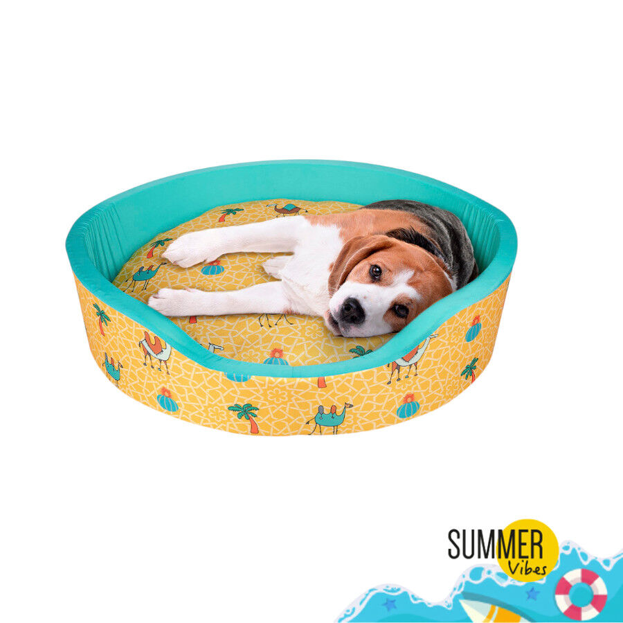 Cama de cachorro refrescante Summer Vibes Camel Fresh, , large Imagem n&uacute;mero 2