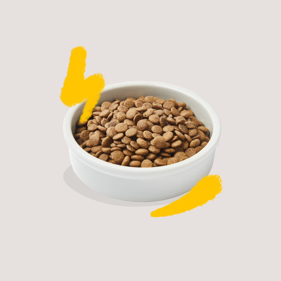 2 kg Edgard & Cooper Adult Ra&ccedil;&atilde;o de peru e frango para gatos , , large Imagem n&uacute;mero 3