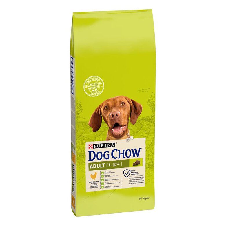 Dog Chow Adult com frango ração para cães, , large image number null