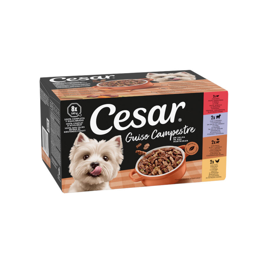 8 terrinas x 150 g Cesar Receita camponesa terrina em molho para c&atilde;es - Multipack, , large Imagem n&uacute;mero 1