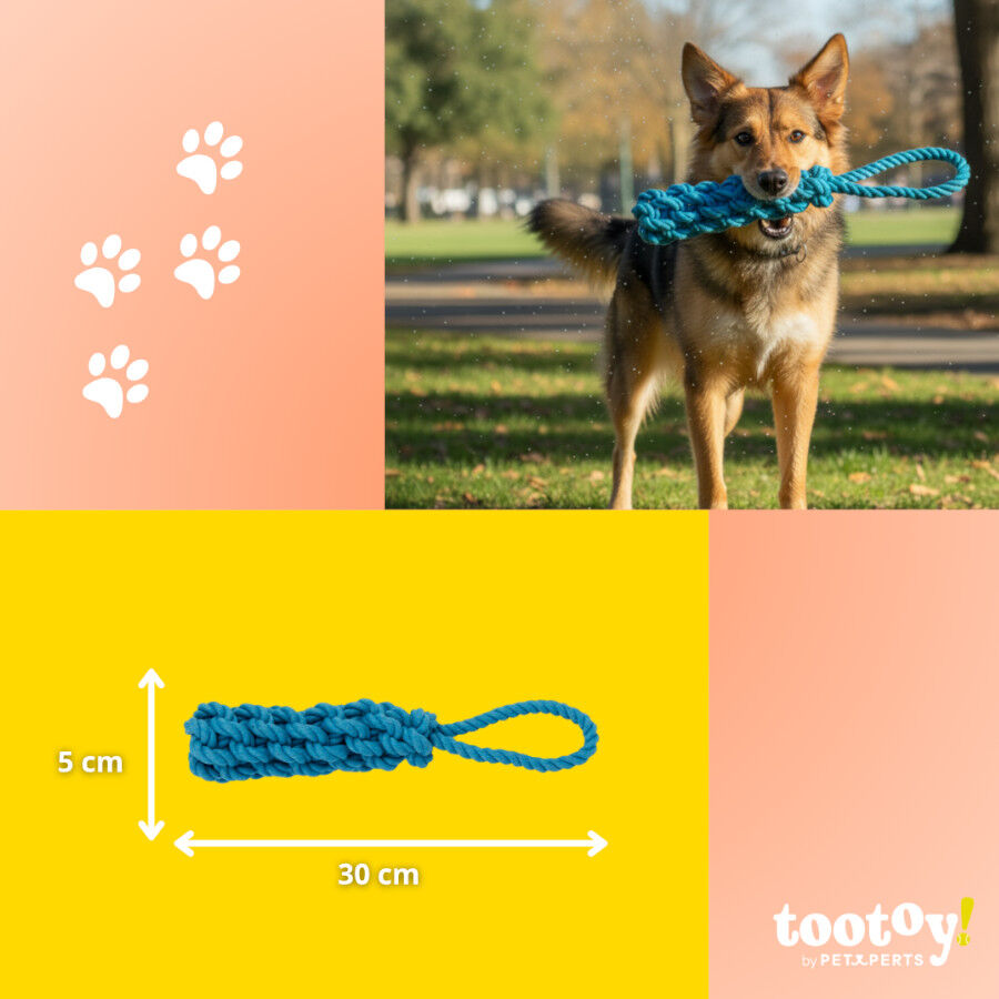 Tootoy! Pull Mordedor de corda para c&atilde;es, , large Imagem n&uacute;mero 4