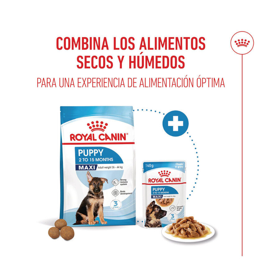 15 kg Royal Canin Puppy Maxi ra&ccedil;&atilde;o para c&atilde;es, , large Imagem n&uacute;mero 7