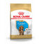 3 kg Royal Canin Puppy Cocker ração para cães, , large Indicador imagem número 1
