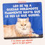 85 g Edgard & Cooper Trucha y Pollo sobre en salsa para gatos, , large Indicador imagem n&uacute;mero 10