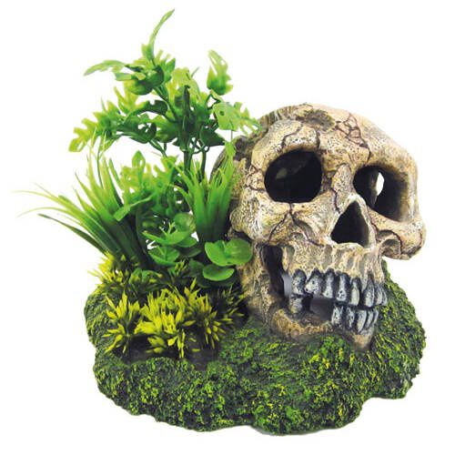 Croci calavera con plantas decoraci&oacute;n para acuario Imagem n&uacute;mero 1