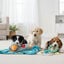 All For Paws Pups Kit de brinquedos para cachorros, , large Indicador imagem n&uacute;mero 1