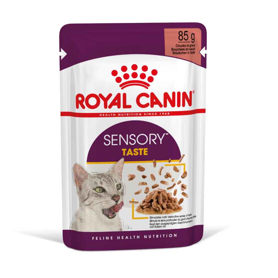 85 g Royal Canin Adult Sensory Taste molho saqueta para gatos, , large Imagem n&uacute;mero 2