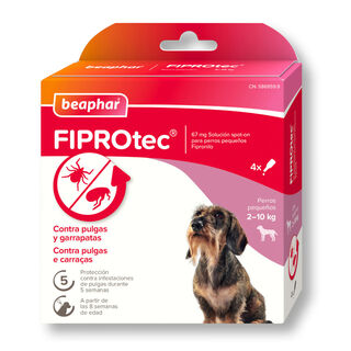Beaphar FiproTec Pipetas Antiparasitárias para cães de raça pequena