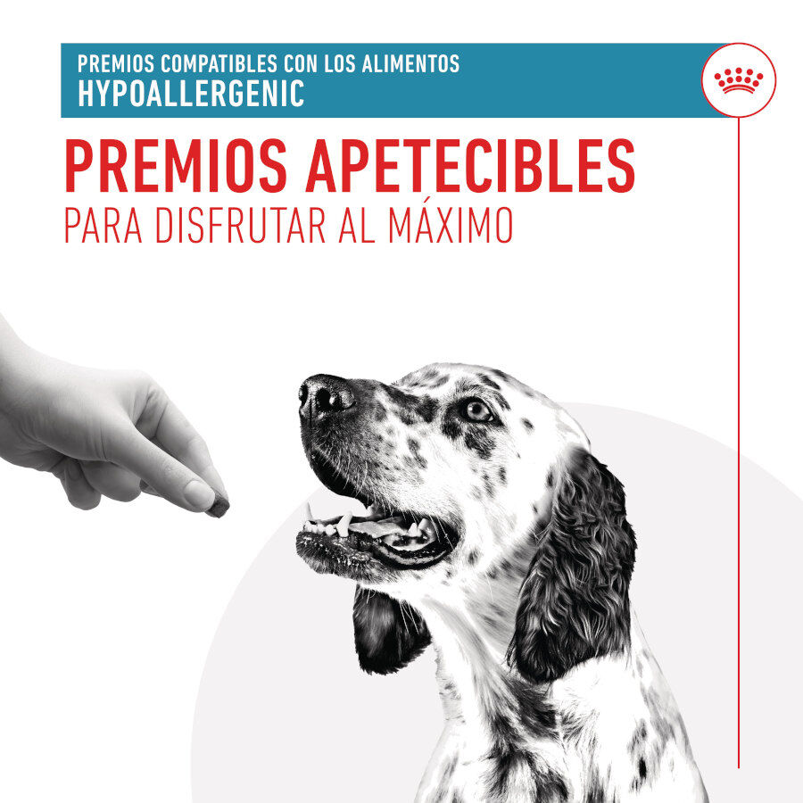 230 g Royal Canin treats hypoallergenic snacks para c&atilde;es, , large Imagem n&uacute;mero 6