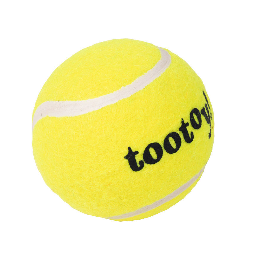 Tootoy! Chase Squeaker Ball bola de t&eacute;nis para c&atilde;es, , large Imagem n&uacute;mero 2