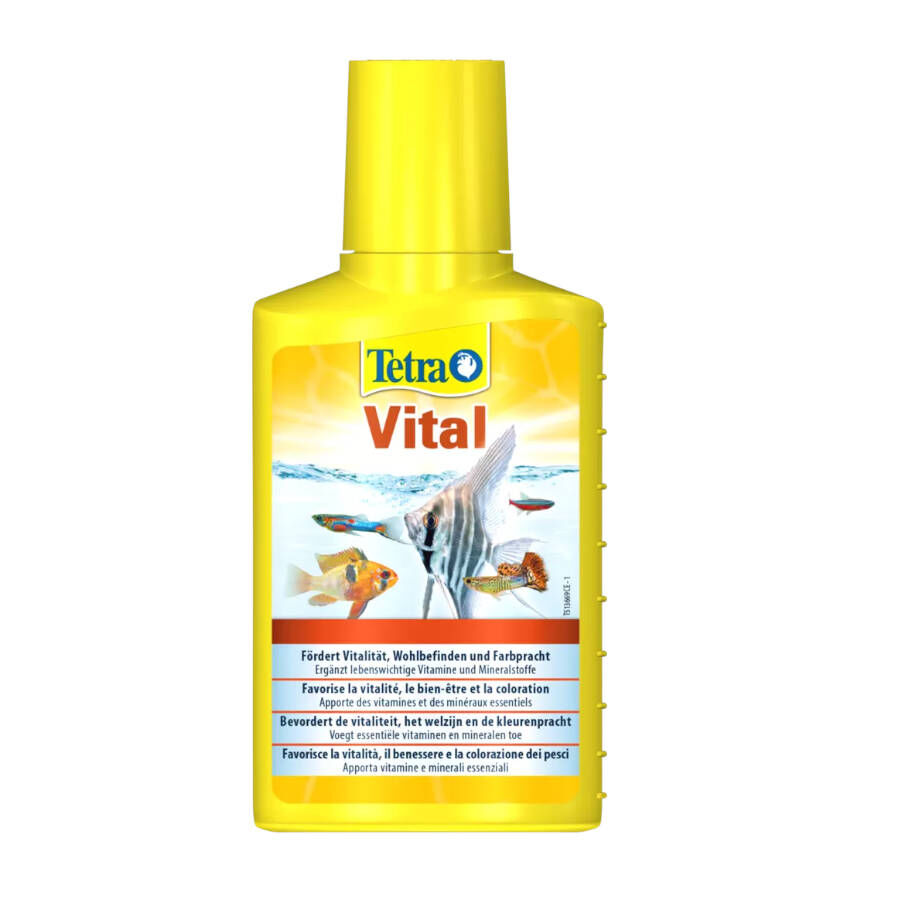 Tetra Vital suplemento nutricional para peixes, , large Imagem n&uacute;mero 1