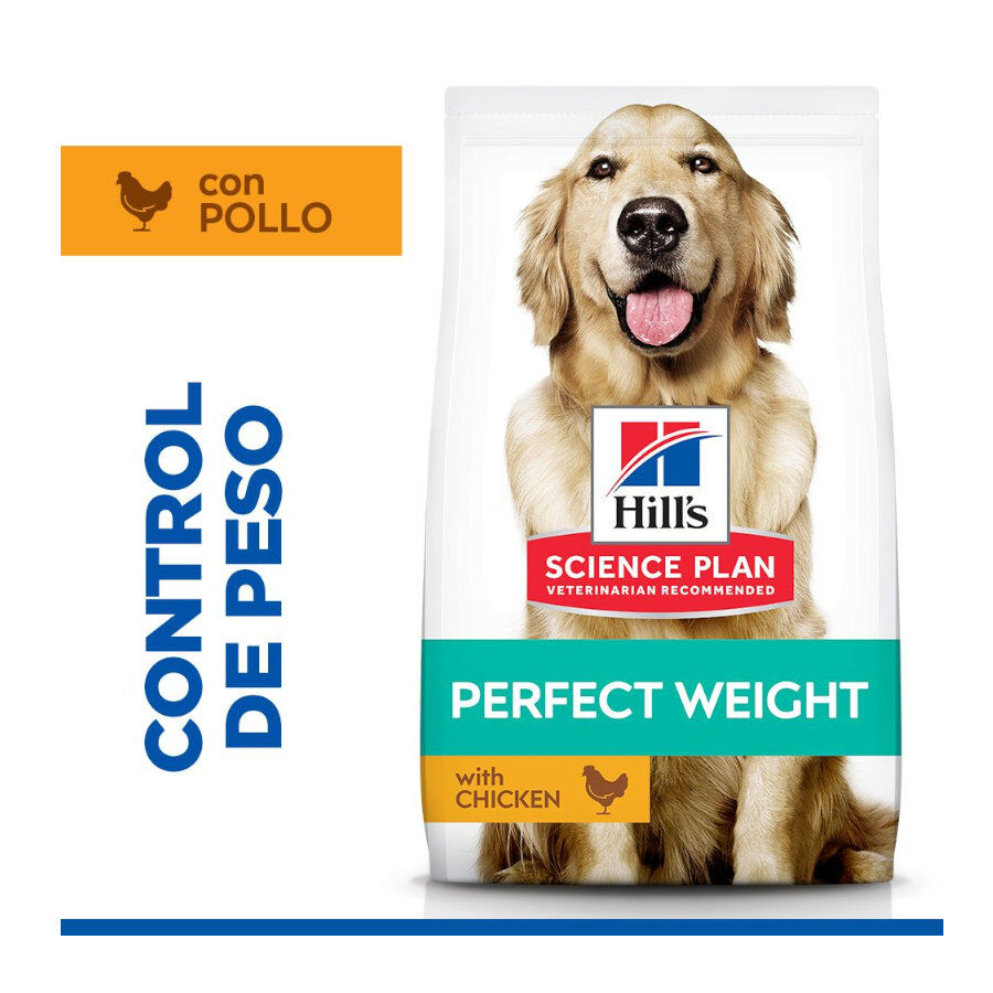 12 kg Hill's Science Plan Perfect Weight Adult Large Frango ra&ccedil;&atilde;o para c&atilde;es, , large Imagem n&uacute;mero 2