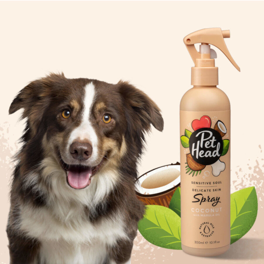 Pet Head Spray Perfume coco para peles sens&iacute;veis para c&atilde;es 300ml, , large Imagem n&uacute;mero 2