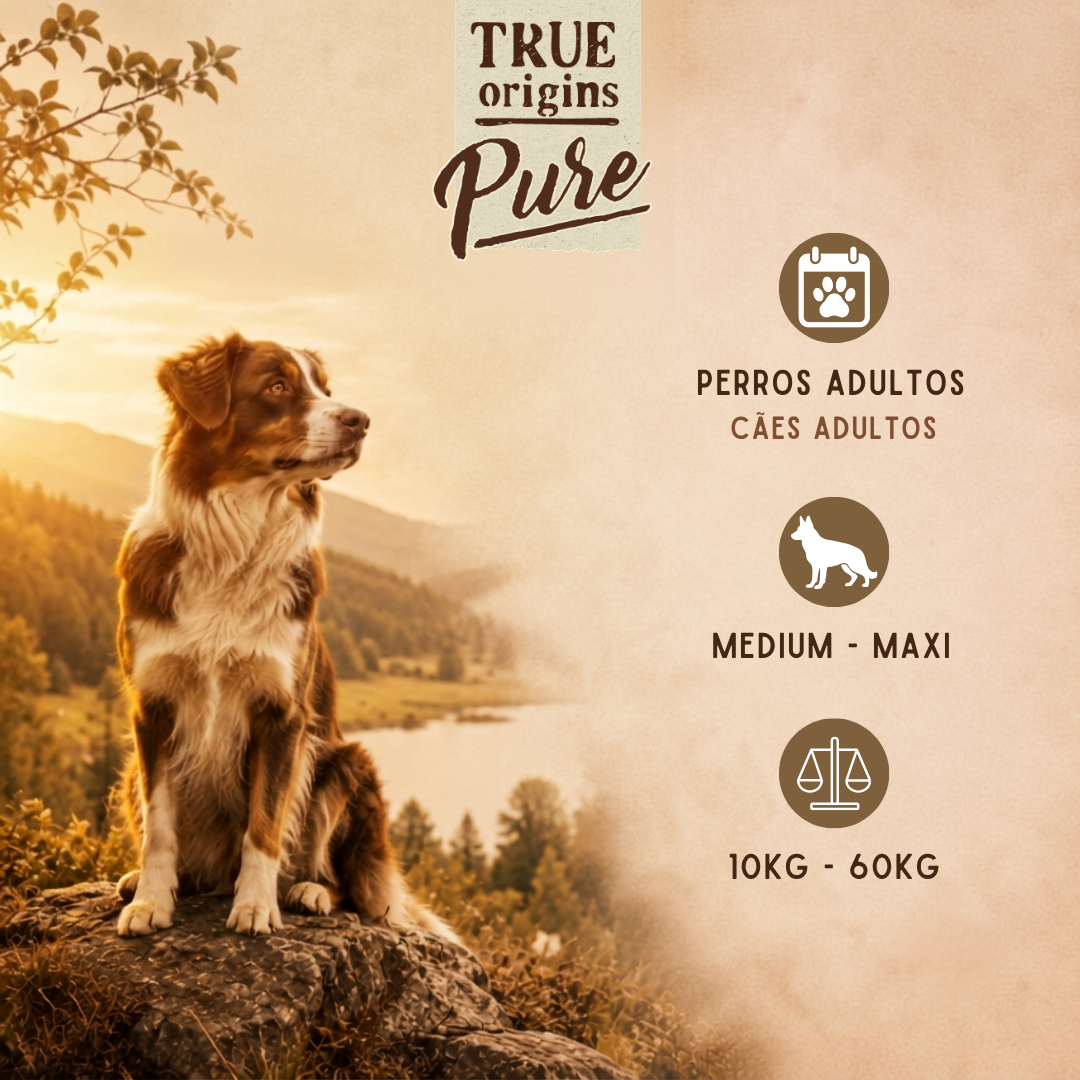 12 kg True Origins Adult Pure Frango No Grain ra&ccedil;&atilde;o para c&atilde;es, , large Imagem n&uacute;mero 4