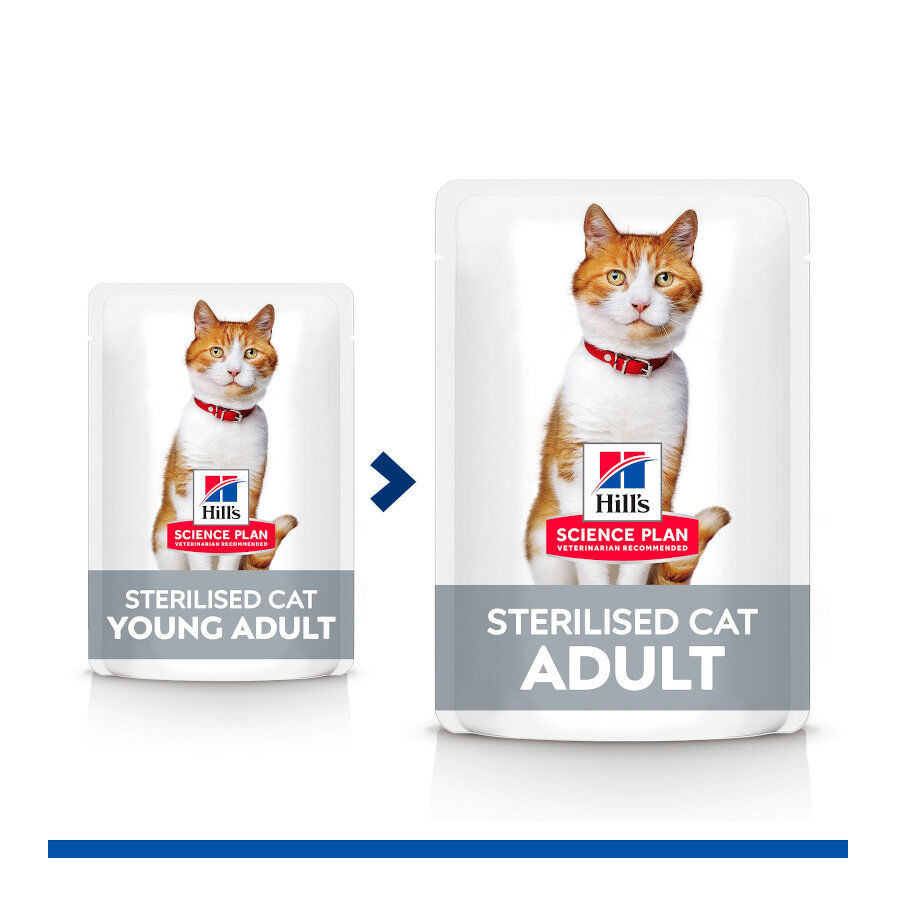 85 g Hill's Young Adult Science Plan Sterilised Truta Saqueta em Molho para gatos, , large Imagem n&uacute;mero 3