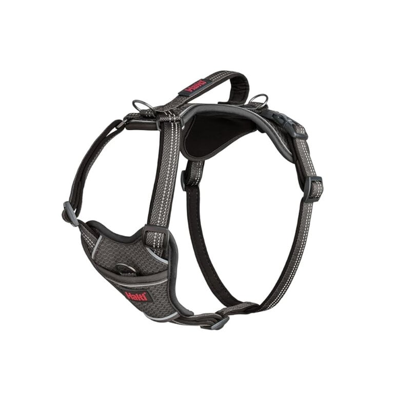 Halti Peitoral Anatómico Cinza para cães pequenos,  Imagem número 1 Halti Peitoral Anatómico Cinza para cães pequenos, , large Imagem número 1