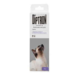 Diptron Spot On Pipeta Antiparasitária para gatos