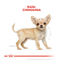 Royal Canin Puppy Chihuahua ração para cães , , large Indicador imagem número 4