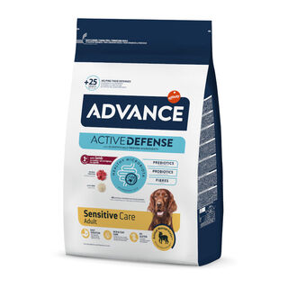 Advance Active Defense Sensitive Borrego e Arroz ração para cães