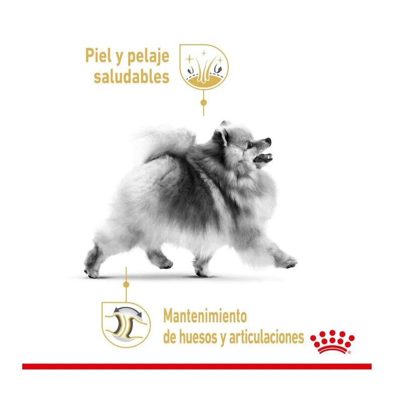 3 kg Royal Canin Pomeranian Adult ra&ccedil;&atilde;o para c&atilde;es, , large Imagem n&uacute;mero 2