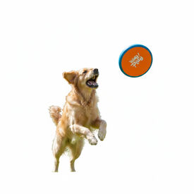 All For Paws Wag Play Frisbee Voador para cães