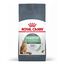 2 x 10 kg Royal Canin Adult Digestive ração para gatos Pack poupança!, , large Indicador imagem número 1