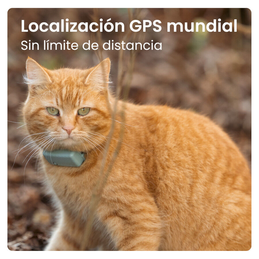 Tractive Cat Mini GPS Tracker Mint para gatos, , large Imagem n&uacute;mero 4