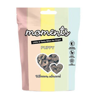 Moments Biscoitos para cachorros