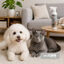 Nice Care Spray tira-n&oacute;doas para c&atilde;es e gatos, , large Indicador imagem n&uacute;mero 2