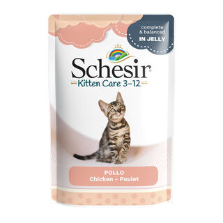Schesir Kitten Frango saqueta para gatinhos