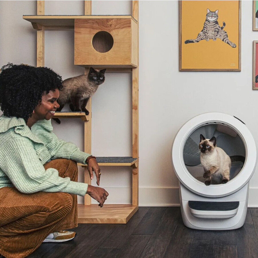 Litter-Robot Caixa de Areia Autom&aacute;tica Branca para gatos, , large Imagem n&uacute;mero 6