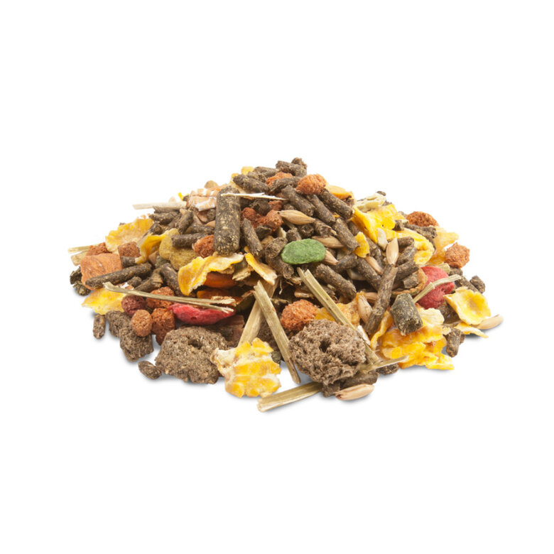 Versele-Laga Crispy Muesli ração para porquinhos-da-índia,  Imagem número 2 Versele-Laga Crispy Muesli ração para porquinhos-da-índia, , large Imagem número 2