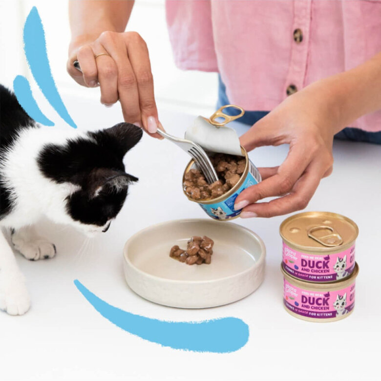85 g Edgard & Cooper Alimento húmido de frango em lata para gatos,  Imagem número 3 85 g Edgard & Cooper Alimento húmido de frango em lata para gatos, , large Imagem número 3