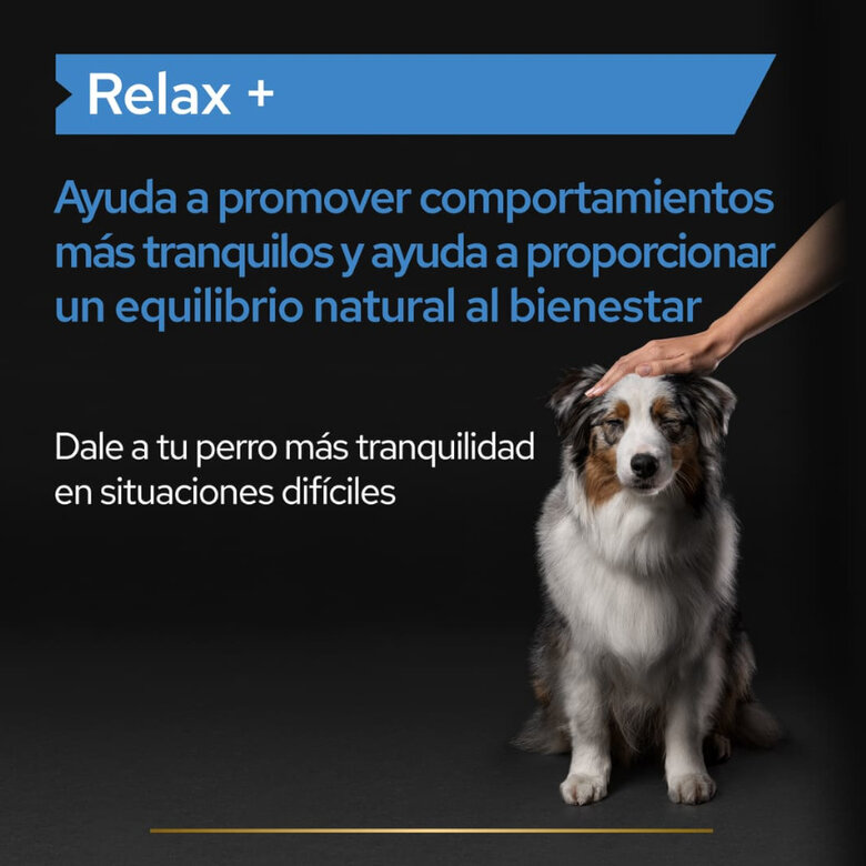250 ml Pro Plan Relax + Suplemento Em Óleo para cães,  Imagem número 3 250 ml Pro Plan Relax + Suplemento Em Óleo para cães, , large Imagem número 3