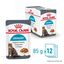 12 saquetas x 85 g Royal Canin Urinary Care Adult Saqueta em molho para gatos Pack poupan&ccedil;a!, , large Indicador imagem n&uacute;mero 1