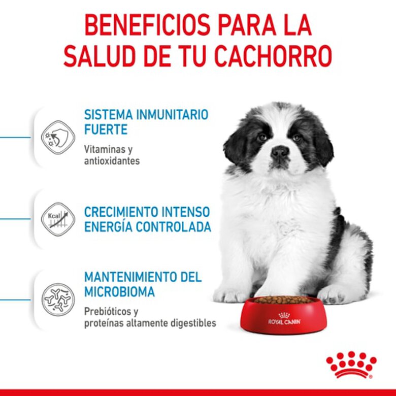 Royal Canin Puppy Giant ração para cães, , large image number null