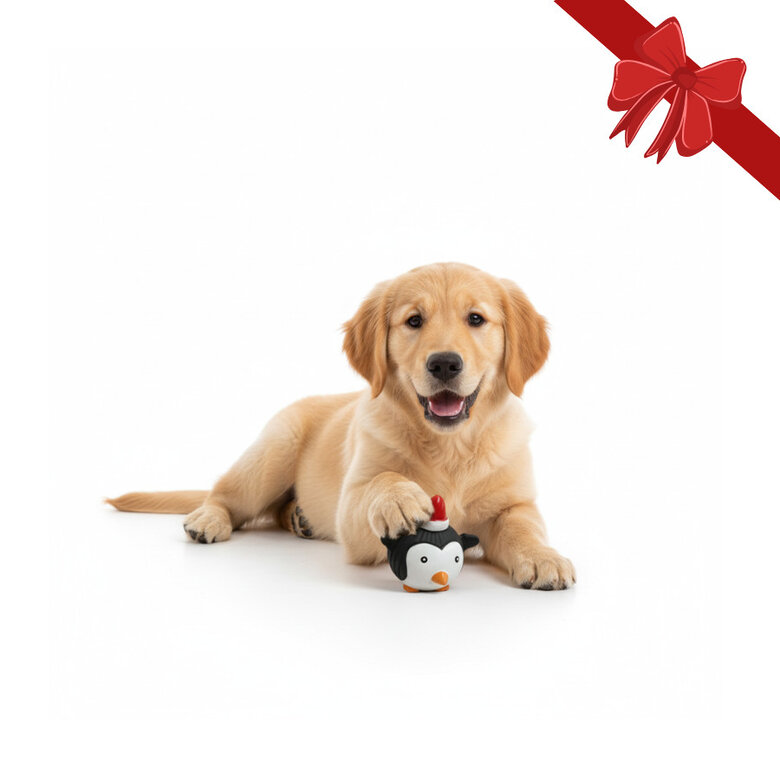 Wonder Christmas Bola Pinguim de Natal para Cães,  Imagem número 1 Wonder Christmas Bola Pinguim de Natal para Cães, , large Imagem número 1