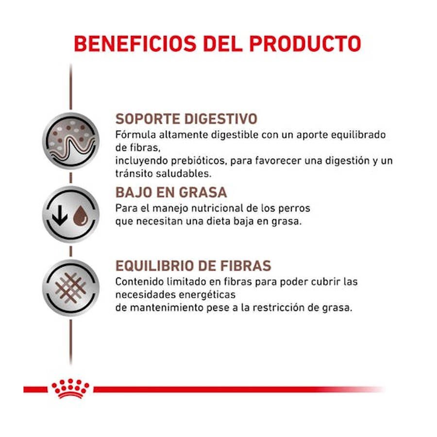 420 g Royal Canin Gastrointestinal Low Fat lata para c&atilde;es, , large Imagem n&uacute;mero 5