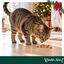 1 pacote Wonder Christmas Chips de Frango Snacks para gatos, , large Indicador imagem n&uacute;mero 2