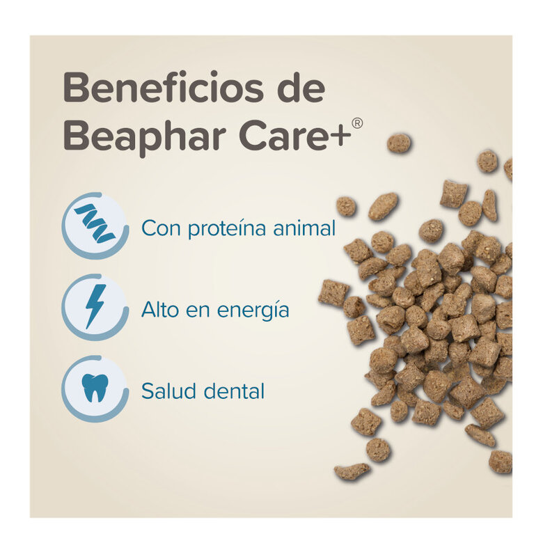 500 g Beaphar Care+ Ração para hámsteres,  Imagem número 3 500 g Beaphar Care+ Ração para hámsteres, , large Imagem número 3
